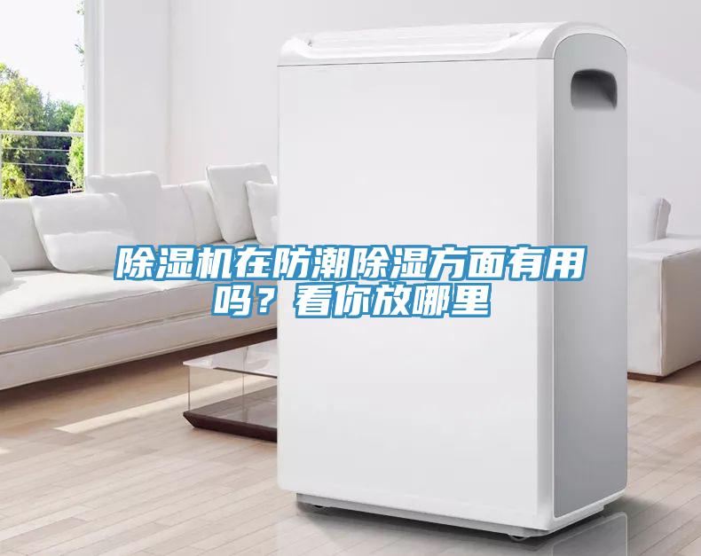 除濕機在防潮除濕方面有用嗎？看你放哪里