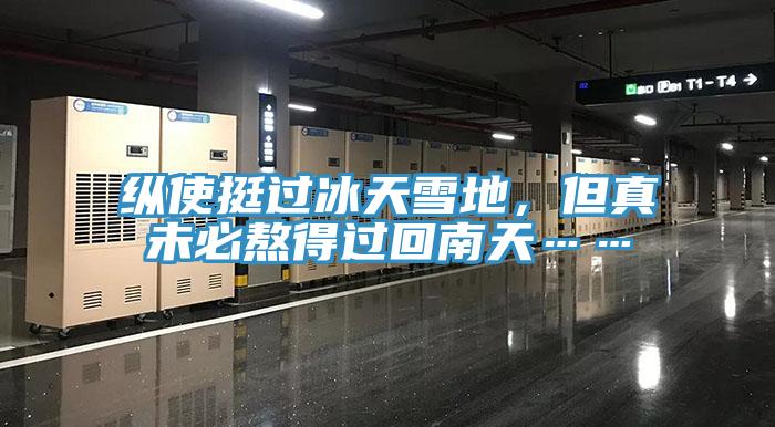 縱使挺過冰天雪地，但真未必熬得過回南天……