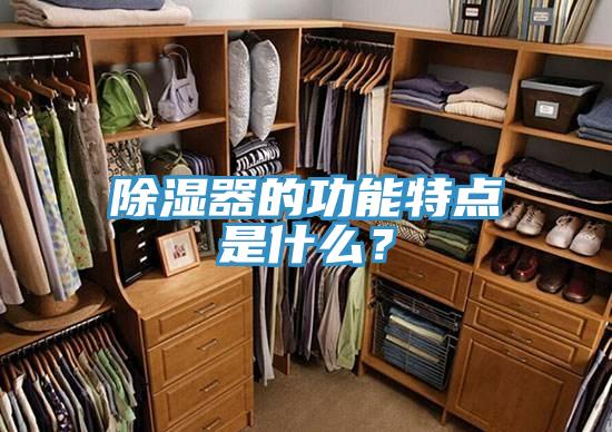 除濕器的功能特點(diǎn)是什么？