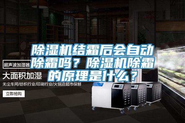 除濕機(jī)結(jié)霜后會(huì)自動(dòng)除霜嗎？除濕機(jī)除霜的原理是什么？