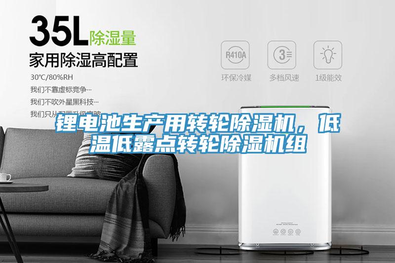 鋰電池生產(chǎn)用轉(zhuǎn)輪除濕機，低溫低露點轉(zhuǎn)輪除濕機組
