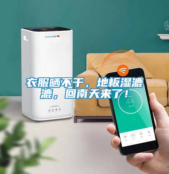 衣服曬不干，地板濕漉漉，回南天來了！