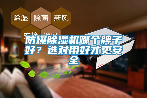 防爆除濕機(jī)哪個(gè)牌子好？選對(duì)用好才更安全