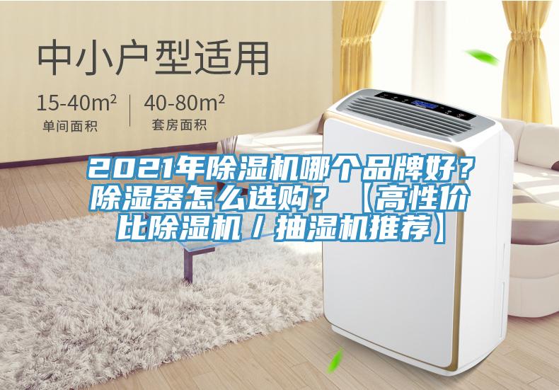 2021年除濕機(jī)哪個(gè)品牌好？除濕器怎么選購(gòu)？【高性價(jià)比除濕機(jī)／抽濕機(jī)推薦】