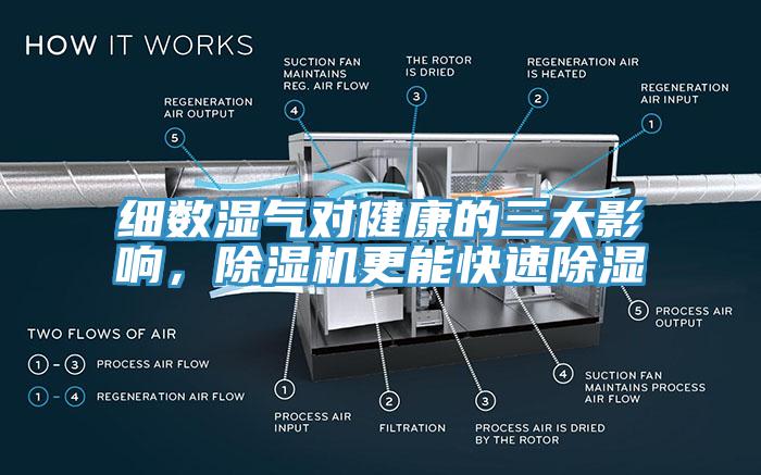 細(xì)數(shù)濕氣對(duì)健康的三大影響，除濕機(jī)更能快速除濕