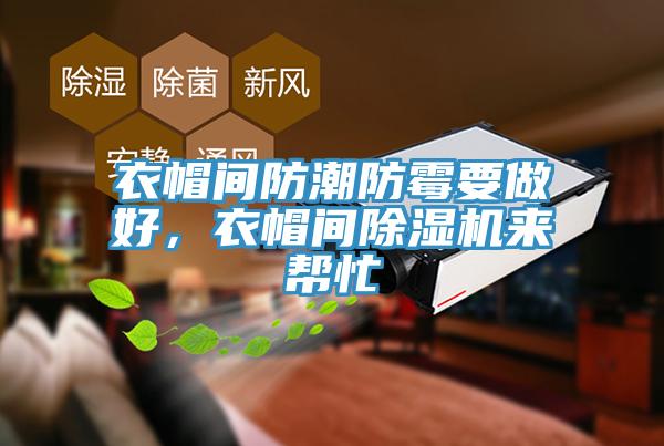衣帽間防潮防霉要做好，衣帽間除濕機(jī)來幫忙