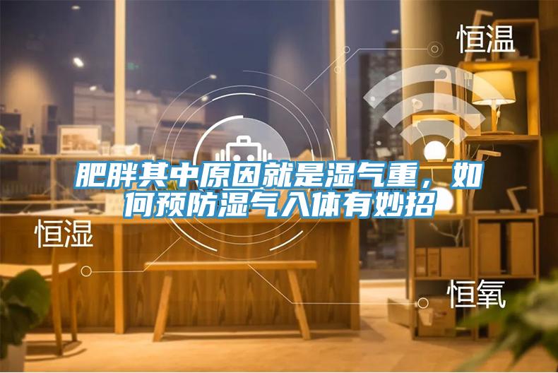 肥胖其中原因就是濕氣重，如何預(yù)防濕氣入體有妙招