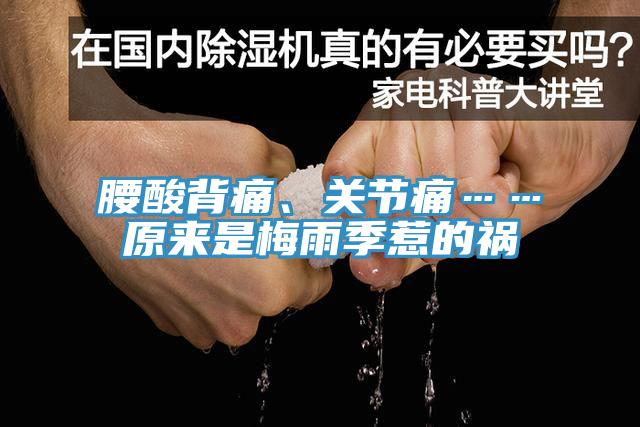 腰酸背痛、關(guān)節(jié)痛……原來是梅雨季惹的禍