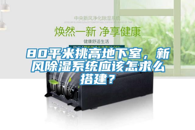 80平米挑高地下室，新風除濕系統(tǒng)應該怎求么搭建？