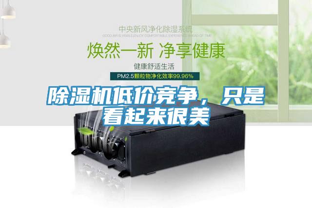 除濕機(jī)低價(jià)競爭，只是看起來很美