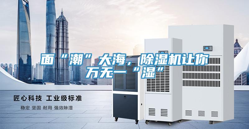 面“潮”大海，除濕機(jī)讓你萬(wàn)無(wú)一“濕”