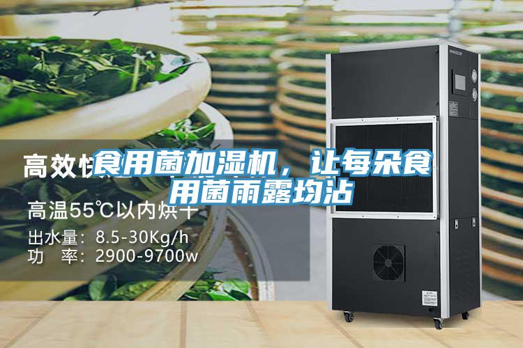 食用菌加濕機(jī)，讓每朵食用菌雨露均沾