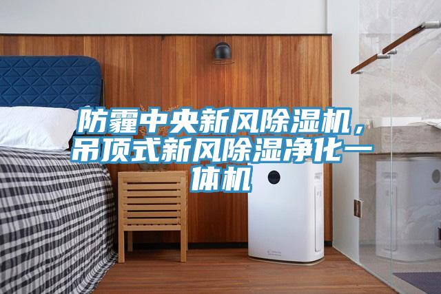 防霾中央新風(fēng)除濕機(jī)，吊頂式新風(fēng)除濕凈化一體機(jī)