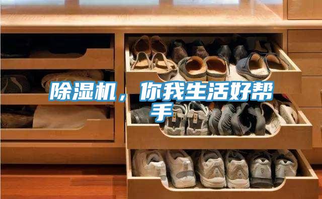 除濕機，你我生活好幫手