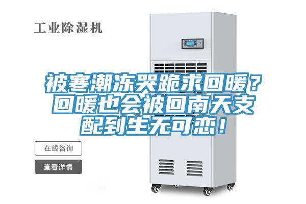 被寒潮凍哭跪求回暖？回暖也會被回南天支配到生無可戀！