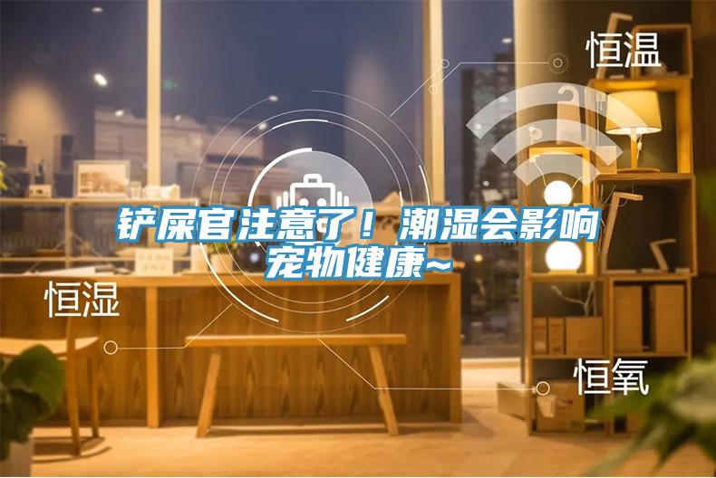 鏟屎官注意了！潮濕會影響寵物健康~