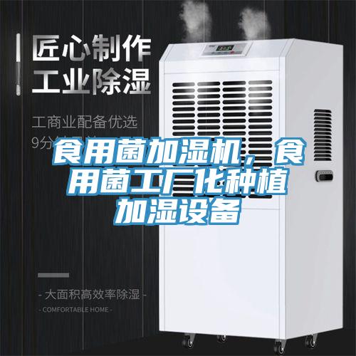 食用菌加濕機(jī)，食用菌工廠化種植加濕設(shè)備
