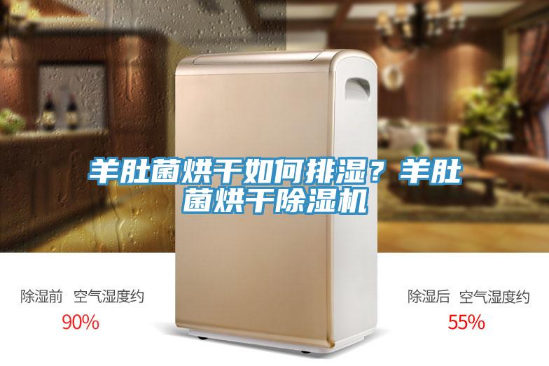 羊肚菌烘干如何排濕？羊肚菌烘干除濕機(jī)