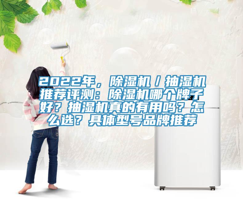 2022年，除濕機(jī)／抽濕機(jī)推薦評(píng)測(cè)：除濕機(jī)哪個(gè)牌子好？抽濕機(jī)真的有用嗎？怎么選？具體型號(hào)品牌推薦