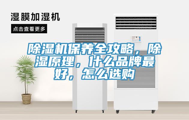 除濕機保養(yǎng)全攻略，除濕原理，什么品牌最好，怎么選購