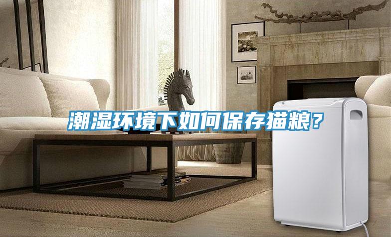 潮濕環(huán)境下如何保存貓糧？
