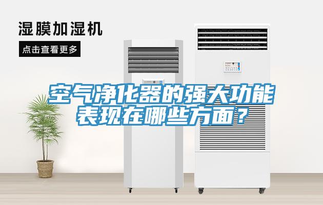 空氣凈化器的強大功能表現(xiàn)在哪些方面？