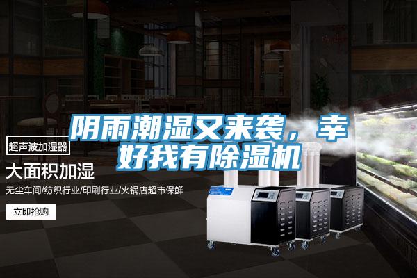 陰雨潮濕又來(lái)襲，幸好我有除濕機(jī)