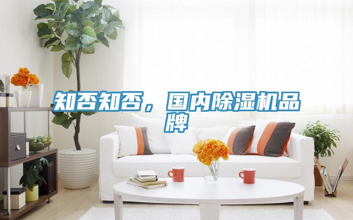 知否知否，國內(nèi)除濕機品牌