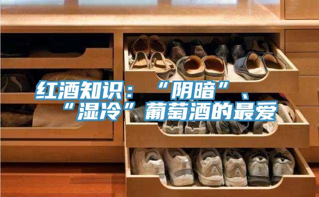 紅酒知識：“陰暗”、“濕冷”葡萄酒的最愛