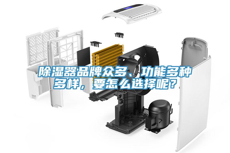 除濕器品牌眾多、功能多種多樣，要怎么選擇呢？