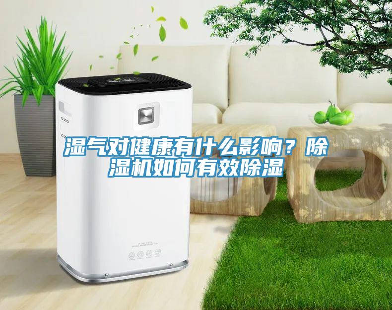 濕氣對健康有什么影響？除濕機(jī)如何有效除濕