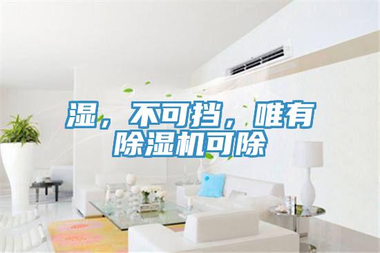 濕，不可擋，唯有除濕機可除