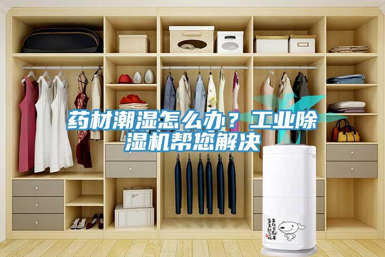 藥材潮濕怎么辦？工業(yè)除濕機(jī)幫您解決