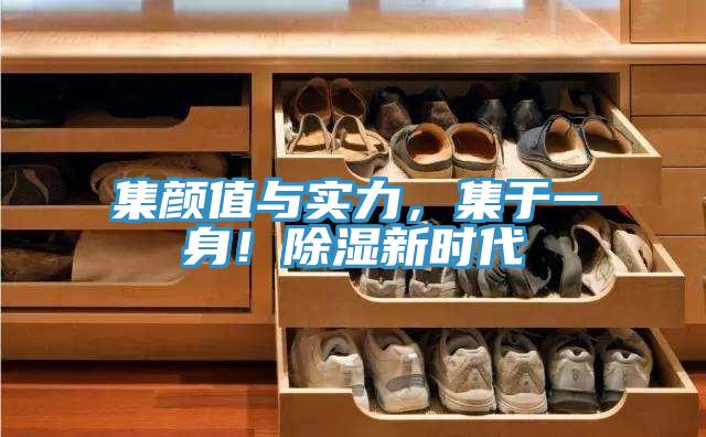 集顏值與實(shí)力，集于一身！除濕新時(shí)代