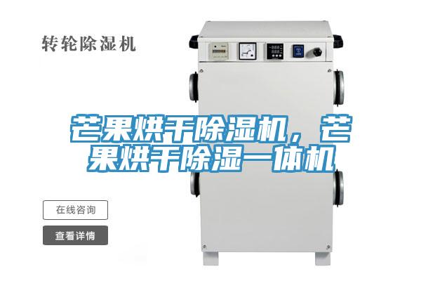 芒果烘干除濕機(jī)，芒果烘干除濕一體機(jī)