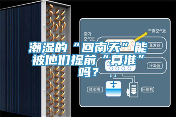 潮濕的“回南天”能被他們提前“算準”嗎？