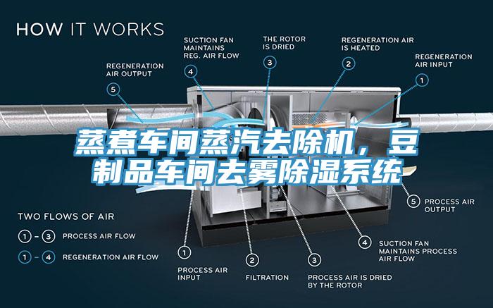 蒸煮車間蒸汽去除機(jī)，豆制品車間去霧除濕系統(tǒng)