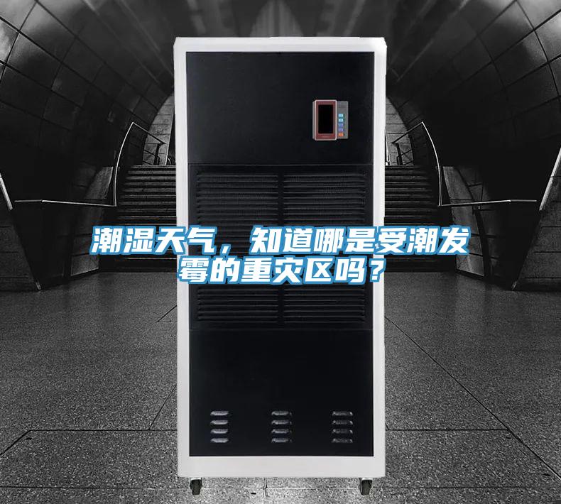 潮濕天氣，知道哪是受潮發(fā)霉的重災(zāi)區(qū)嗎？