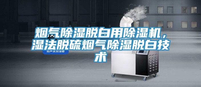 煙氣除濕脫白用除濕機(jī)，濕法脫硫煙氣除濕脫白技術(shù)