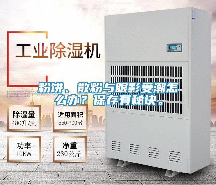 粉餅、散粉與眼影受潮怎么辦？保存有秘訣。