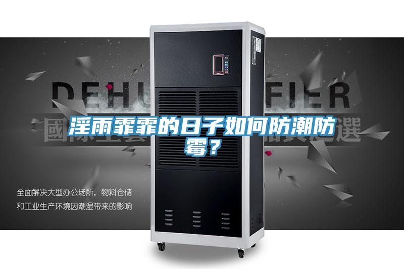 淫雨霏霏的日子如何防潮防霉？