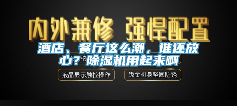 酒店、餐廳這么潮，誰(shuí)還放心？除濕機(jī)用起來(lái)啊