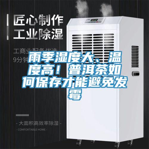 雨季濕度大、溫度高！普洱茶如何保存才能避免發(fā)霉