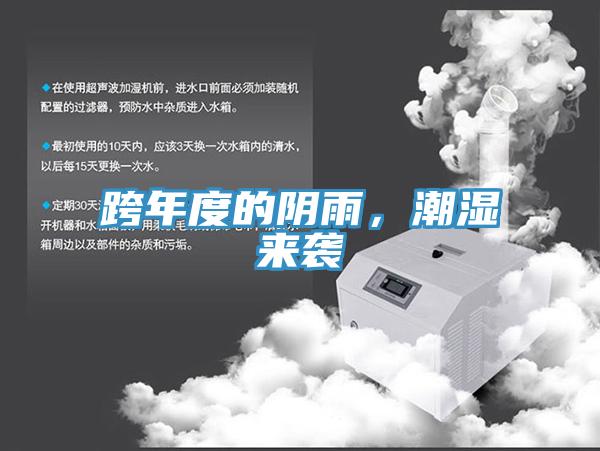 跨年度的陰雨，潮濕來襲