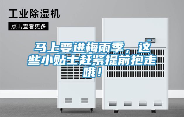 馬上要進(jìn)梅雨季，這些小貼士趕緊提前抱走哦！