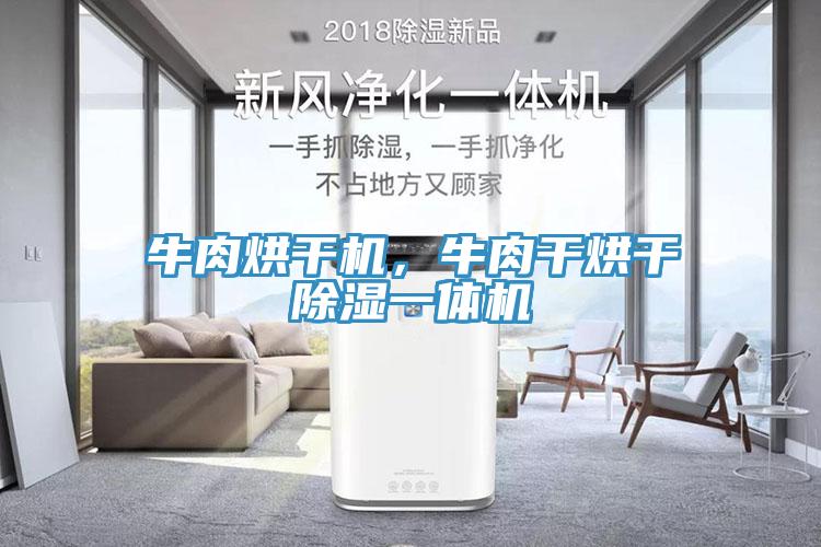 牛肉烘干機，牛肉干烘干除濕一體機
