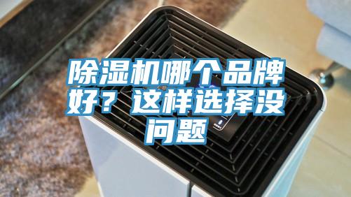 除濕機(jī)哪個(gè)品牌好？這樣選擇沒問題