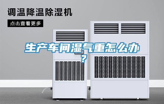 生產(chǎn)車間濕氣重怎么辦？