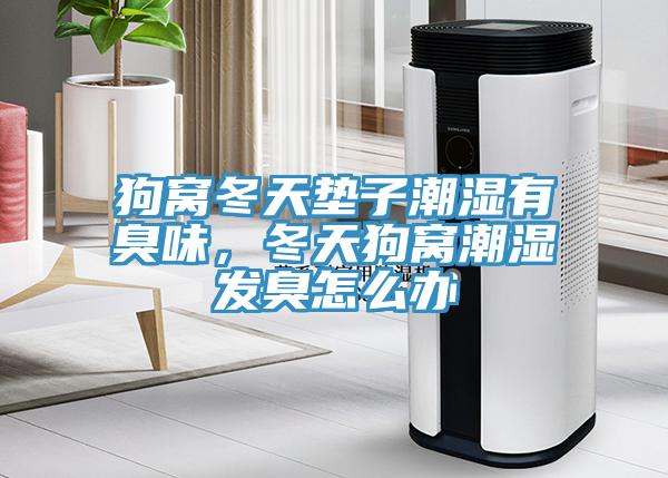 狗窩冬天墊子潮濕有臭味，冬天狗窩潮濕發(fā)臭怎么辦