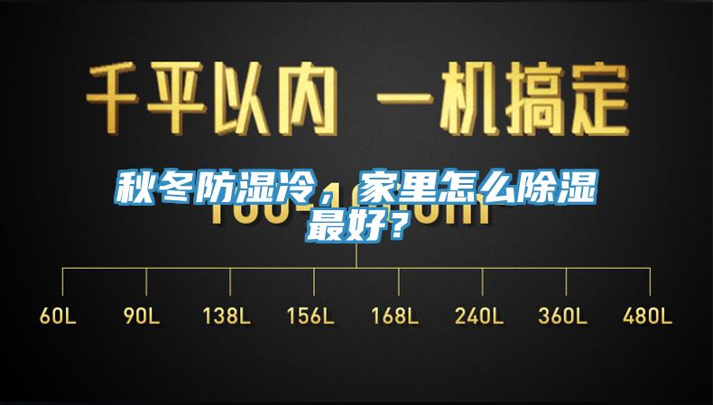 秋冬防濕冷，家里怎么除濕最好？